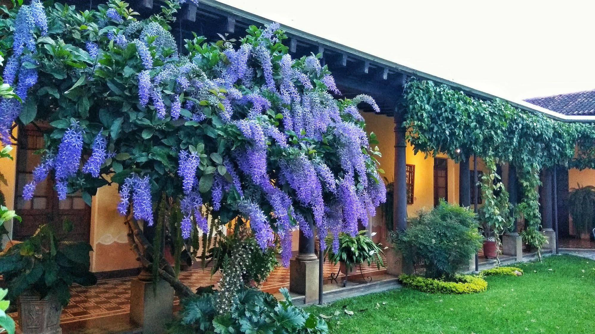 Hotel Aurora Antigua Εξωτερικό φωτογραφία