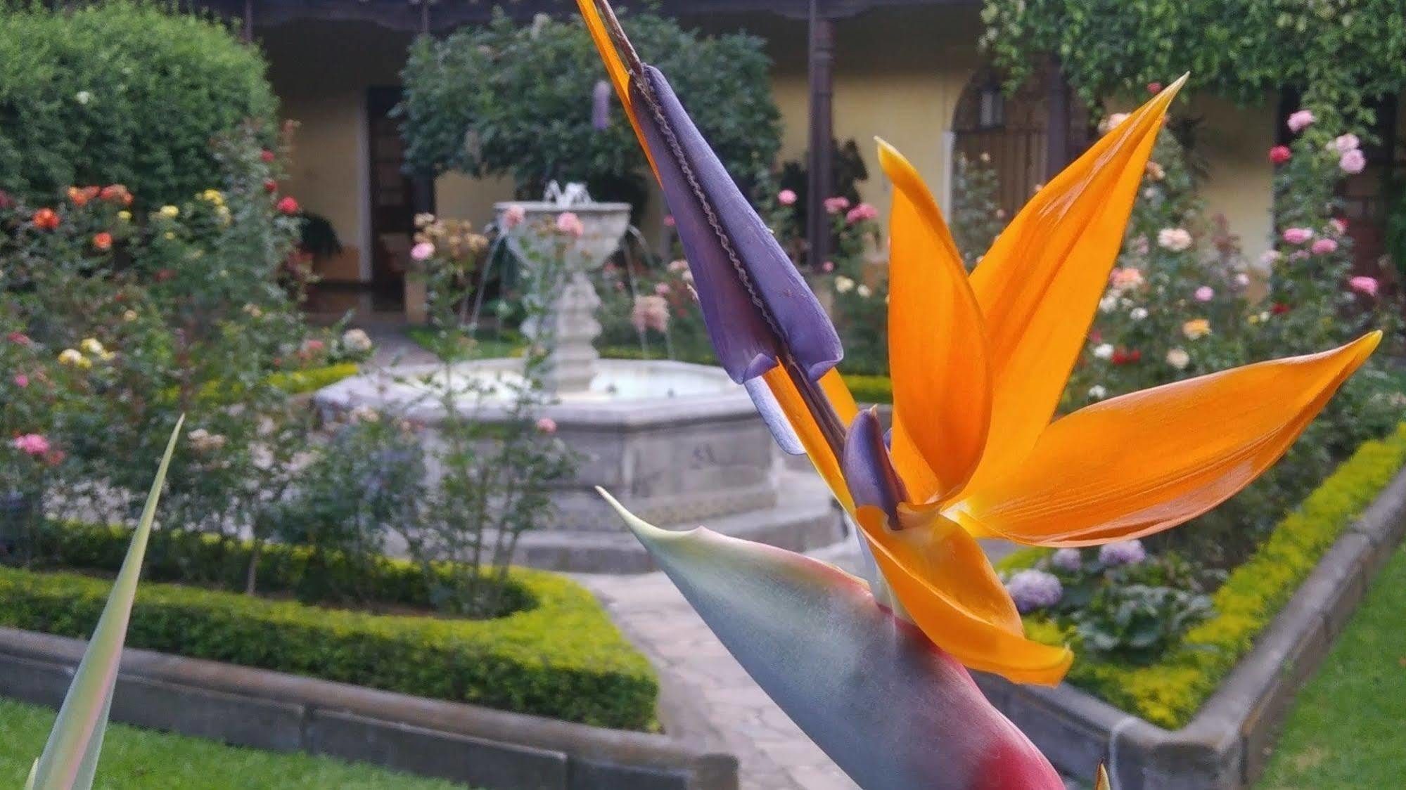 Hotel Aurora Antigua Εξωτερικό φωτογραφία